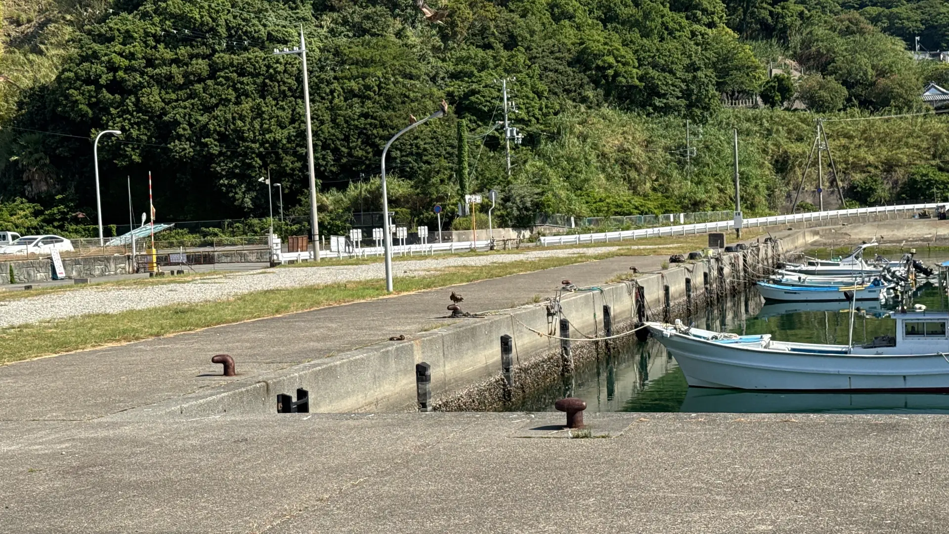 朝の田ノ浦漁港。岸壁に漁船が並び、奥に山と集落が見える